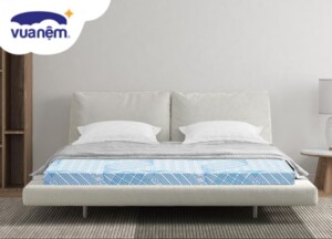 Nệm cao su Vạn Thành 1m4x2m giá bao nhiêu? Cập nhật bảng giá mới nhất 