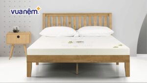 Bảng giá nệm Vạn Thành 20cm chi tiết, mới cập nhật