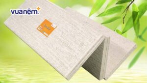 Nệm Vạn Thành 5cm giá bao nhiêu? Bảng giá chính xác nhất 