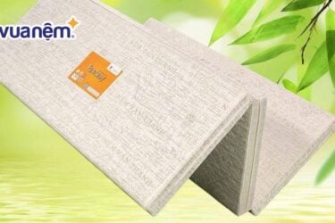 Nệm Vạn Thành 5cm giá bao nhiêu? Bảng giá chính xác nhất 