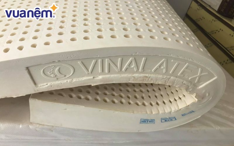 Thương hiệu Vinalatex được thành lập từ năm 2007