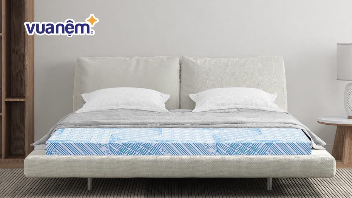 Nệm Kim Cương 1m giá bao nhiêu? Bảng giá nệm Kim Cương 1m mới nhất 