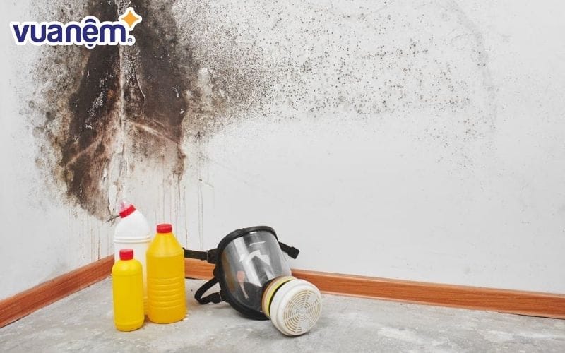 Phòng ngủ là điểm lý tưởng cho sự phát triển của nấm mốc.