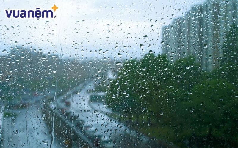 Trời nồm ẩm khiến cho ga giường bị ẩm ướt