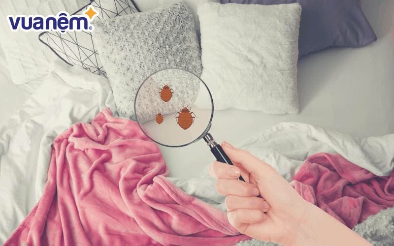 Nấm mốc trên ga giường gây hại đến da và hệ hô hấp