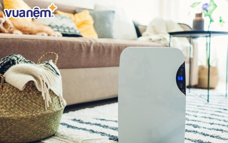Sử dụng máy hút ẩm để cân bằng độ ẩm trong phòng