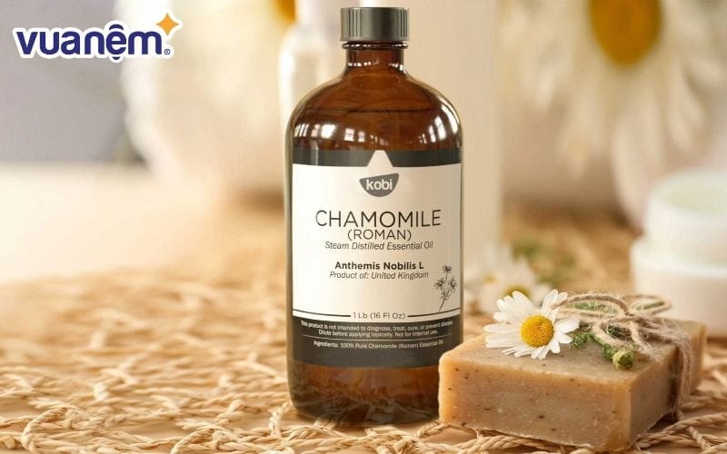 Cúc La Mã là mùi hương đặc biệt phù hợp với người hay căng thẳng hoặc khó ngủ.