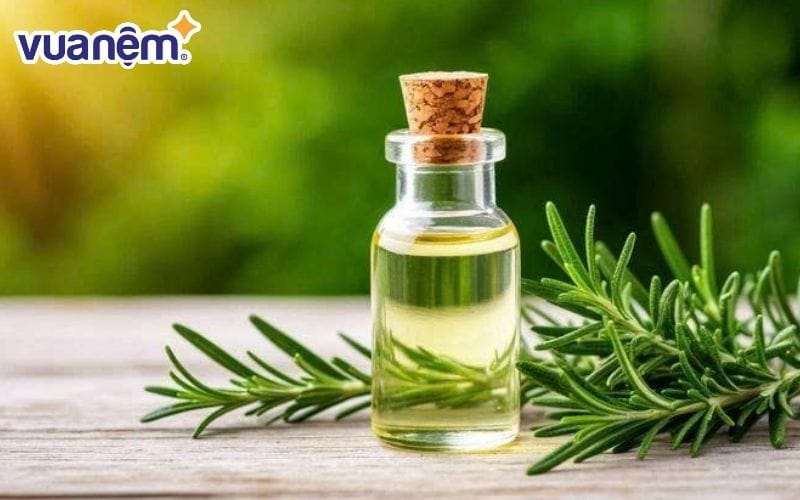 Sử dụng tinh dầu tràm
