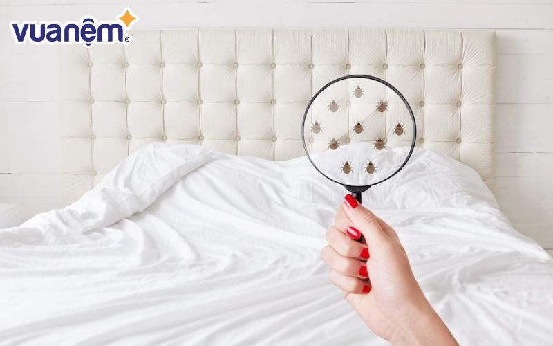 Bộ chăn ga sử dụng ở khách sạn được chia thành 3 nhóm