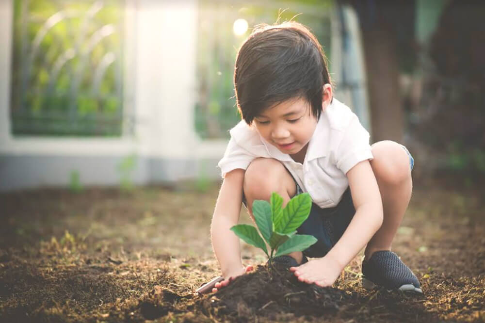 Trường Mầm non Việt Mỹ với nhiều cây xanh tạo môi trường học tập thân thiện