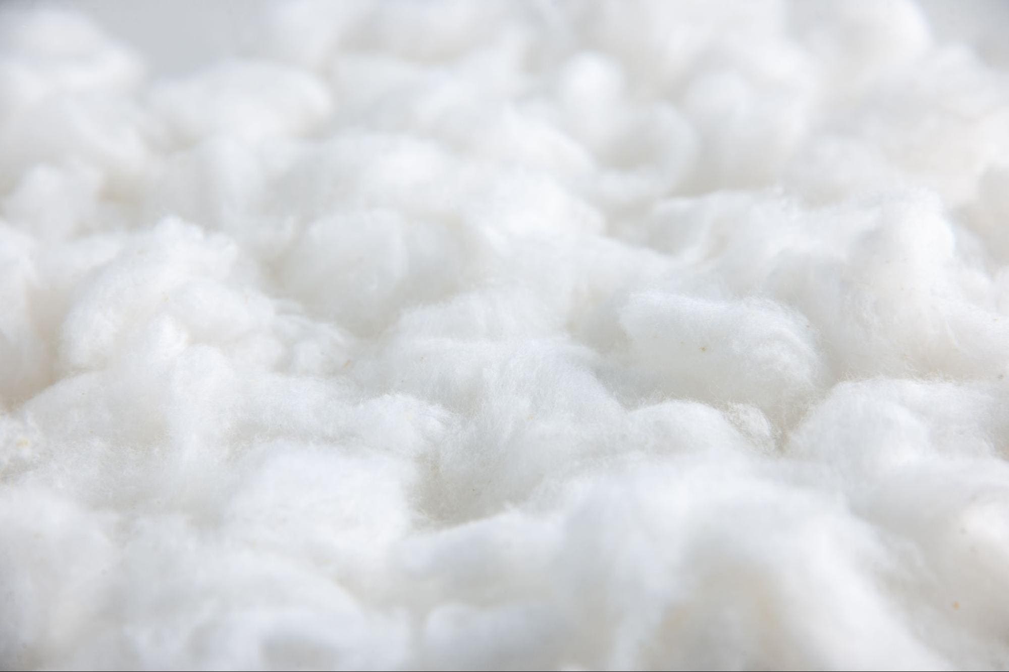 vải cotton tc là gì