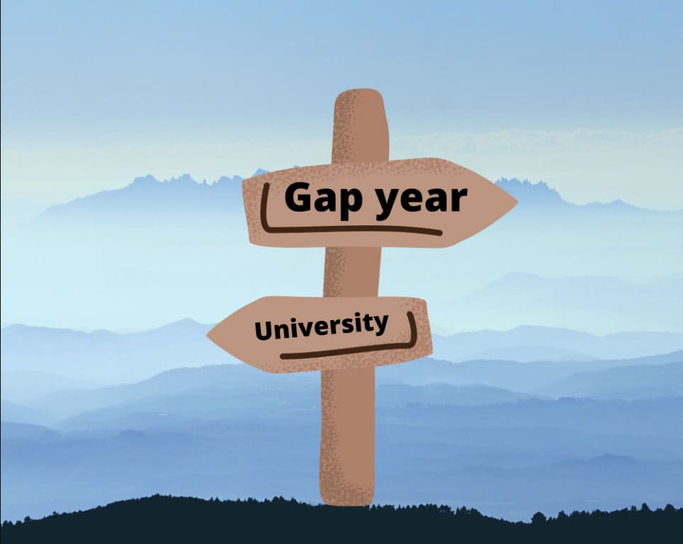 nguyên nhân của việc gap year