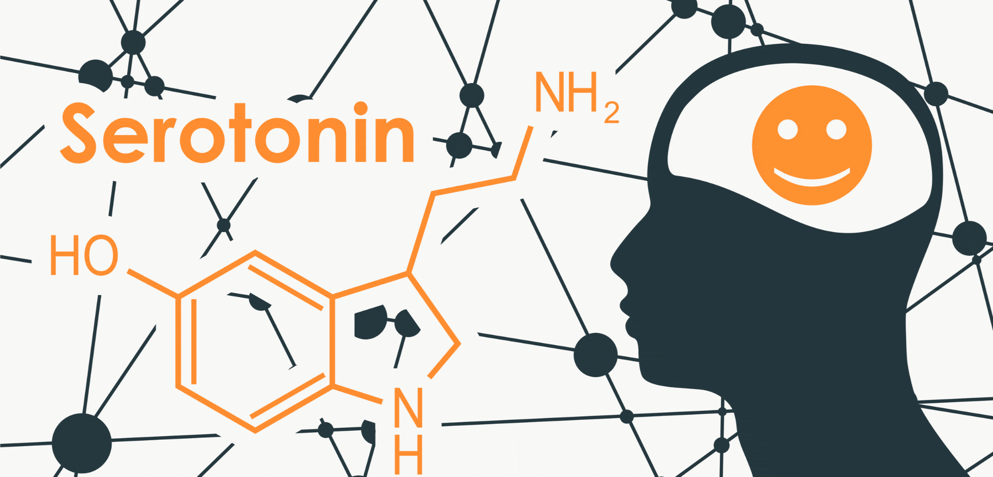 4 hormone hạnh phúc