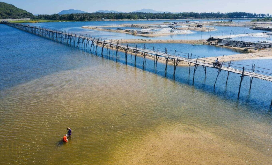 Cầu Gỗ Ông Cọp 