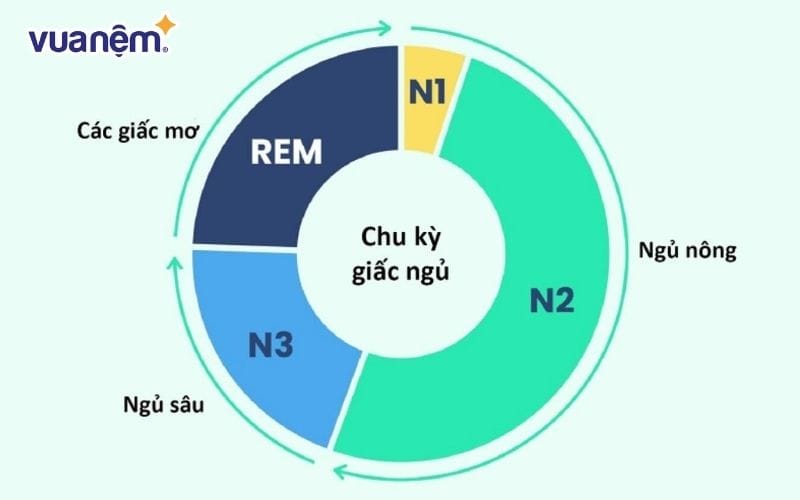 Chu kỳ giấc ngủ 90 phút là gì
