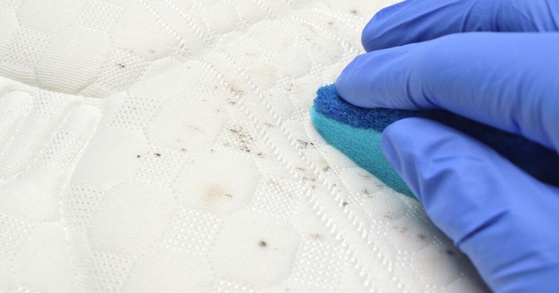 Loại bỏ vết nấm mốc trên chăn ga gối nệm bằng Chlorine dioxide
