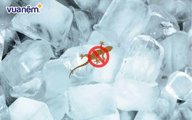 Dùng nước đá lạnh để bắt thằn lằn