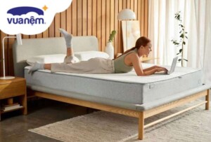 So sánh chi tiết nệm foam Oyasumi và foam Ru9, loại nào tốt hơn? 