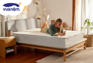 So sánh chi tiết nệm Foam Tempur và Foam Goodnight nên chọn mua loại nệm nào?