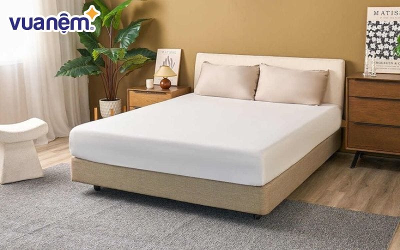 Ga chống thấm Goodnight Sumi