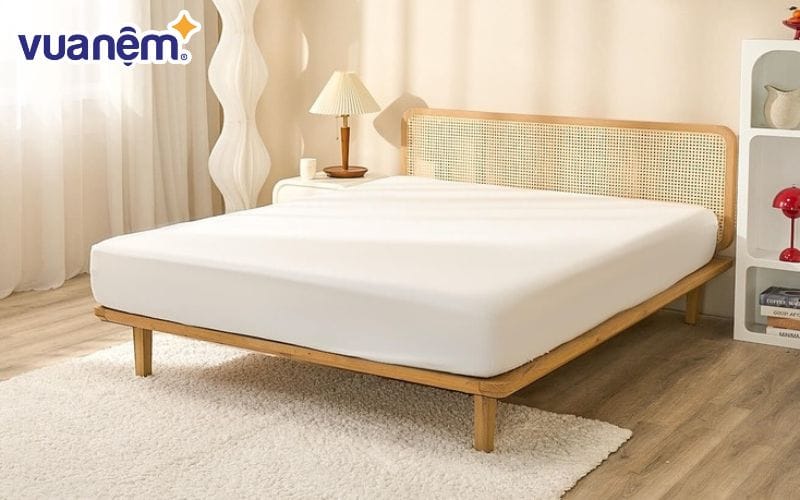 Ga chống thấm Bedgear Dri-tec