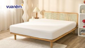 Hướng dẫn giặt tấm bảo vệ nệm đúng cách để kéo dài tuổi thọ