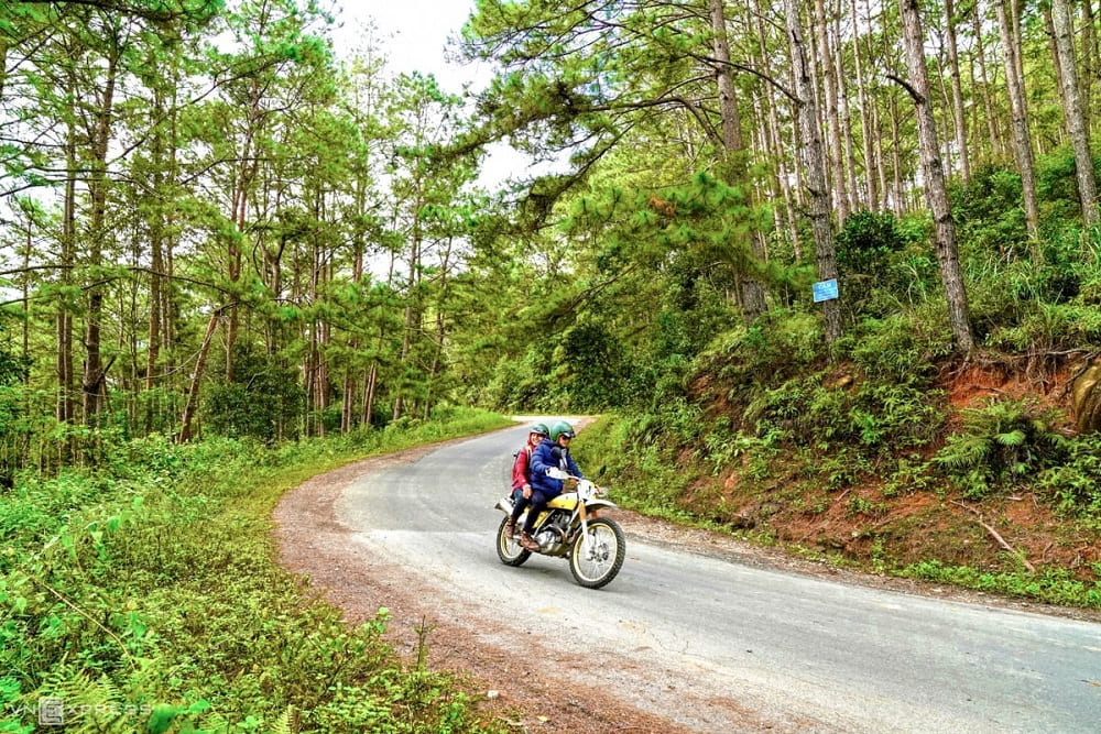 khám phá măng đen 