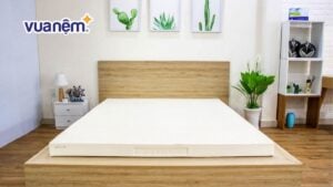 Nệm Vạn Thành 10cm giá bao nhiêu? Bảng giá chính xác nhất