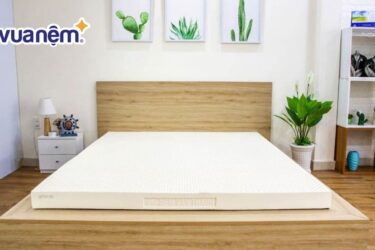 Nệm Vạn Thành 10cm giá bao nhiêu? Bảng giá chính xác nhất