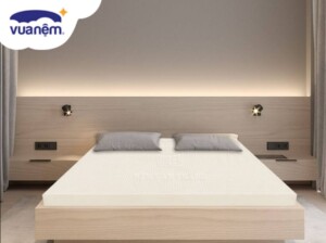 Nệm cao su Vạn Thành 1m6x2m giá bao nhiêu? Cập nhật bảng giá mới nhất 