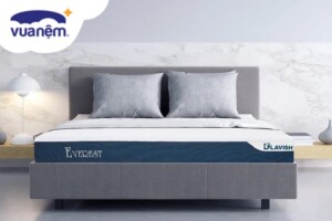 Đánh giá nệm foam D’lavish đầy đủ, chi tiết, chân thật nhất