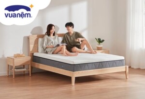 Giữa nệm Foam Goodnight và Foam Zinus nên chọn loại nào?