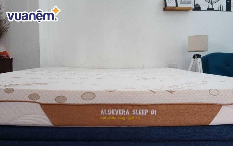 Mẫu nệm mousse Kim Cương 20cm