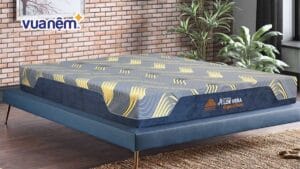 Nệm Kim Cương 20cm giá bao nhiêu? Cập nhật bảng giá năm 2026