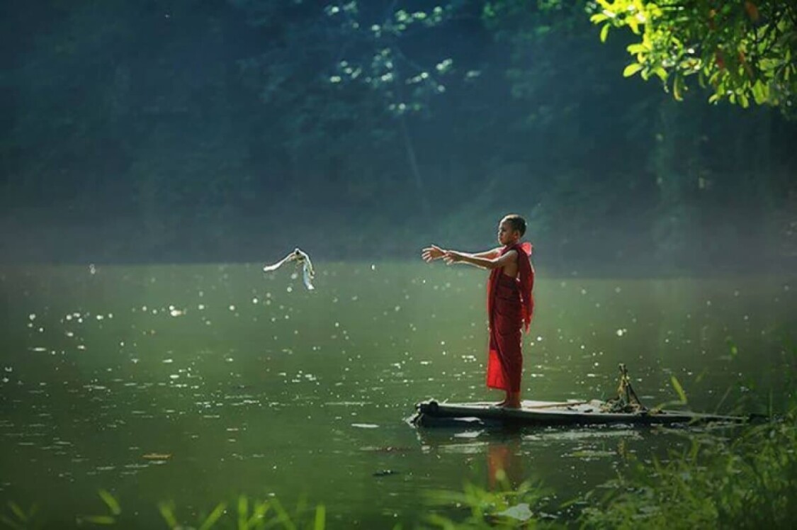 Nghi thức phóng sanh là gì