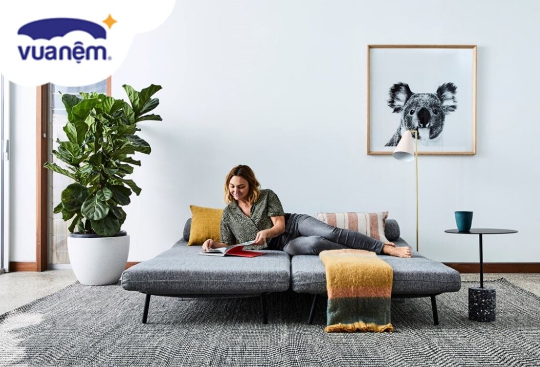ngu tren sofa