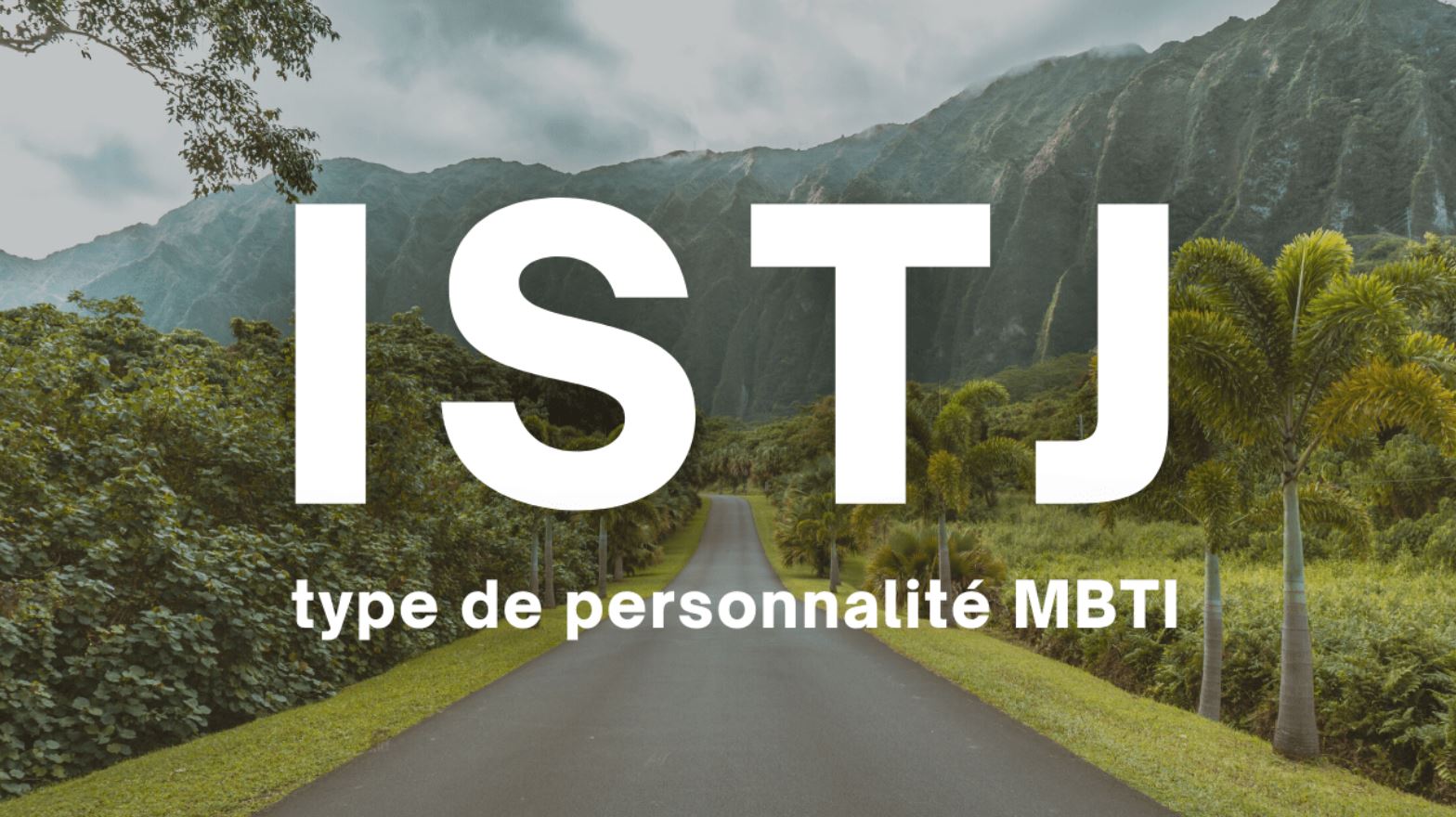 nhóm tính cách istj