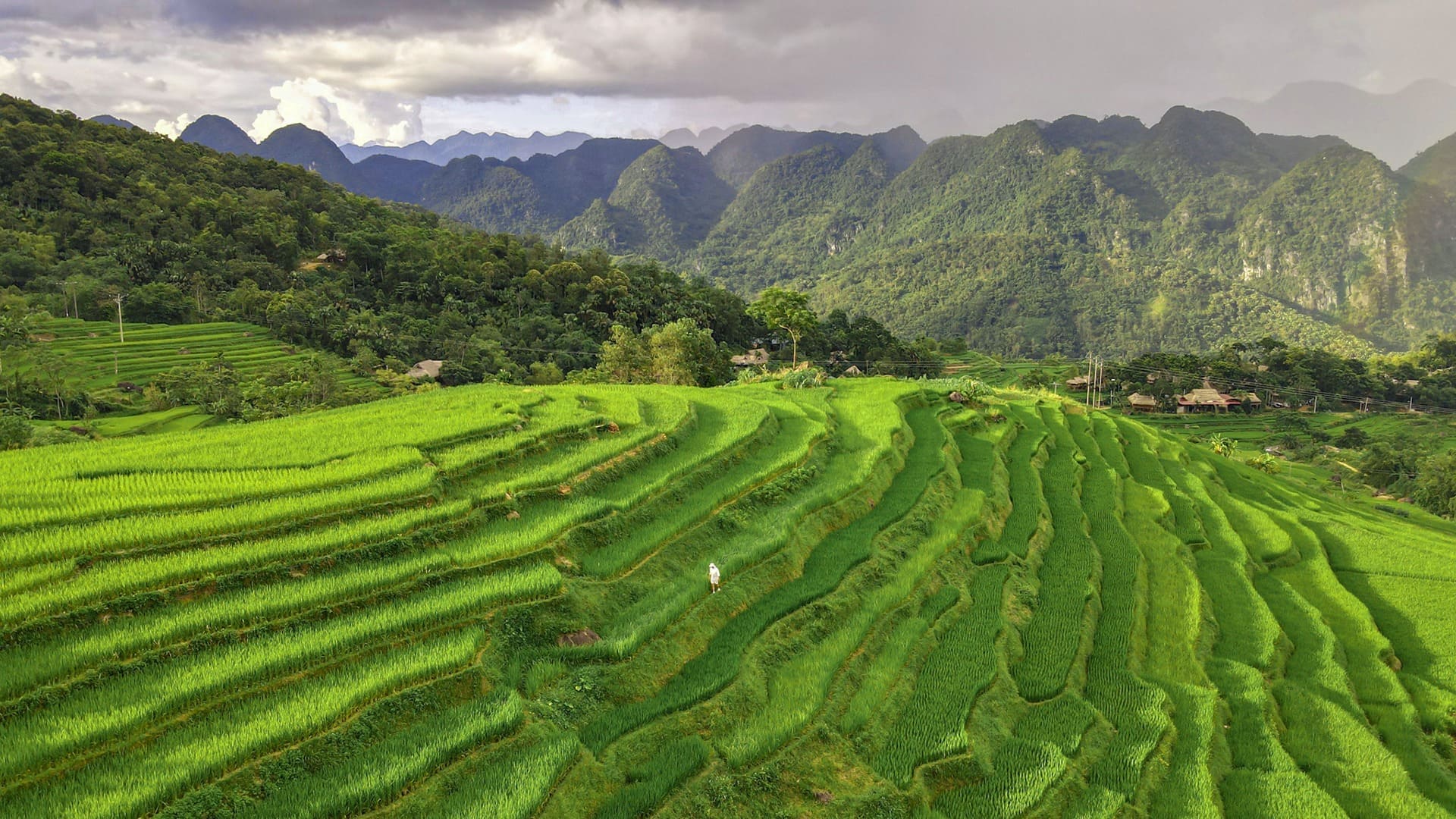 pù luông ở đâu