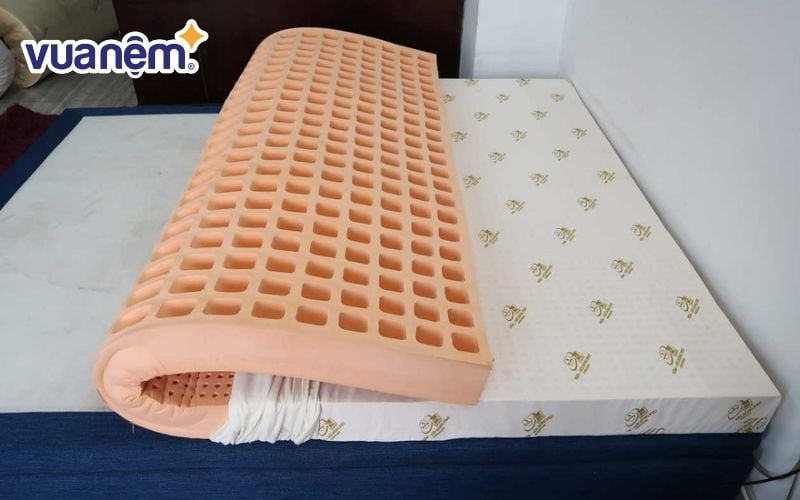 Thương hiệu nệm Đồng Phú