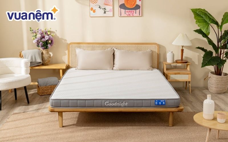 Thương hiệu nệm Goodnight