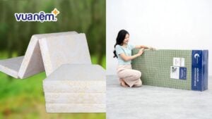 So sánh nệm Đồng Phú và nệm Goodnight chi tiết 2025