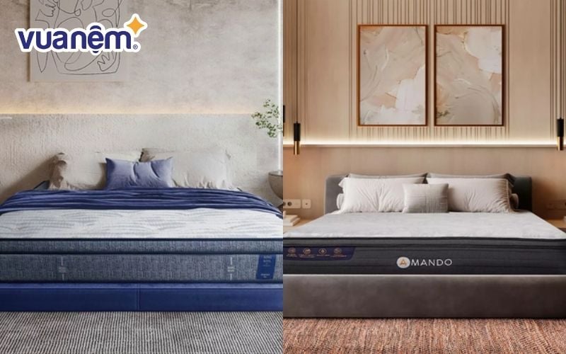 Lựa chọn nệm Kingkoil hay nệm Amando tùy thuộc vào nhu cầu