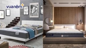 So sánh nệm Kingkoil và nệm Amando: Chọn nệm hãng nào? 