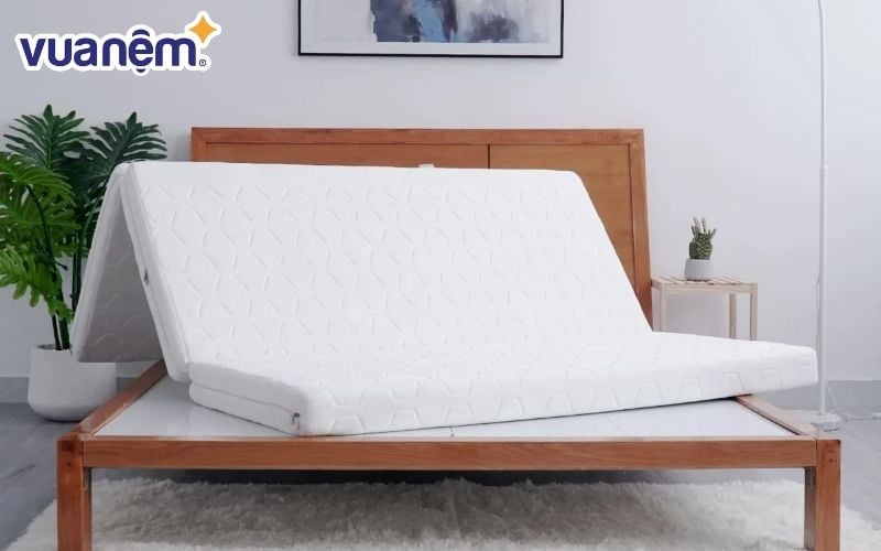 Thương hiệu nệm Đồng Phú