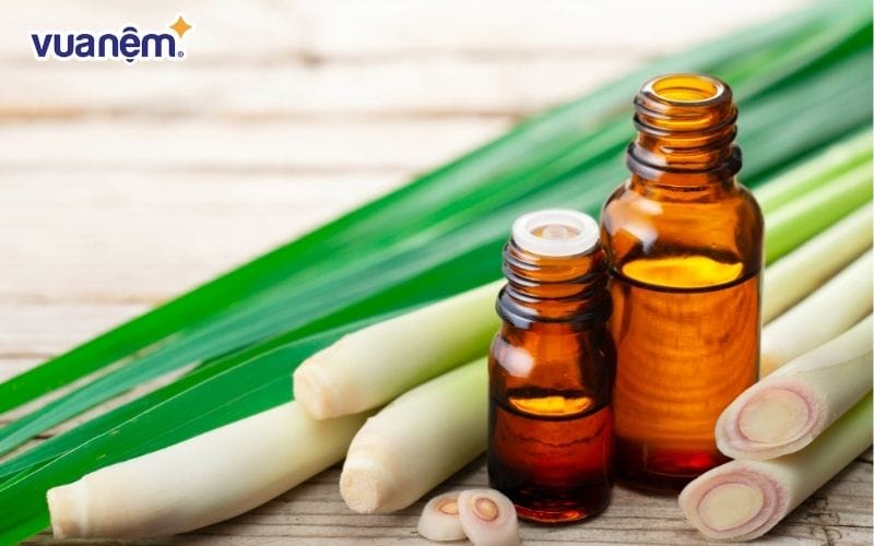 Sử dụng tinh dầu sả hoặc tinh dầu có mùi mạnh