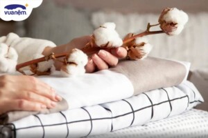 Vải cotton 100 là gì? Cách nhận biết vải cotton 100