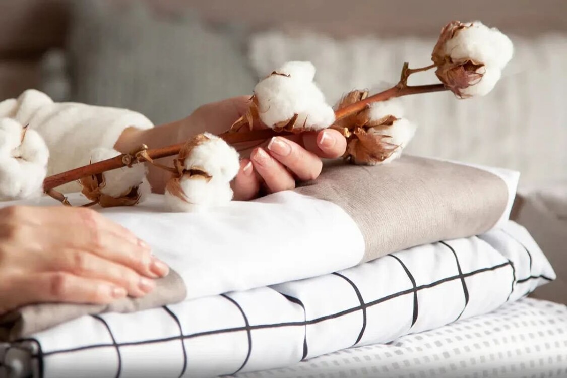 Vải cotton 100 là gì