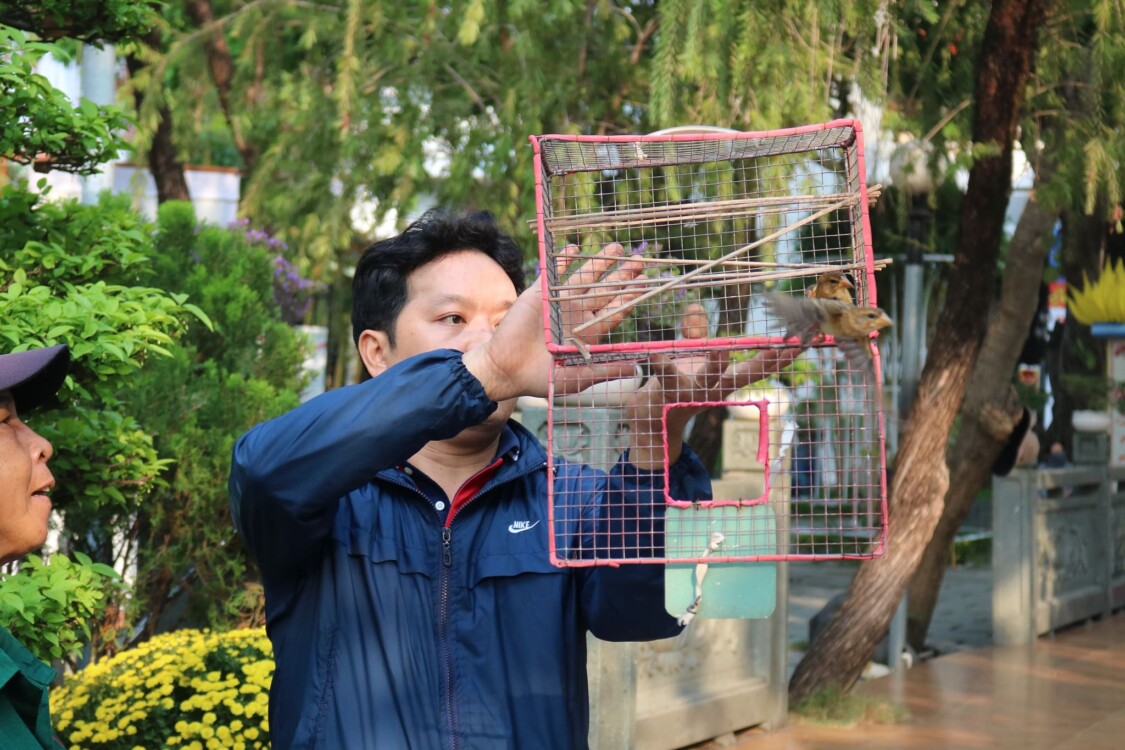 Văn khấn phóng sinh chim