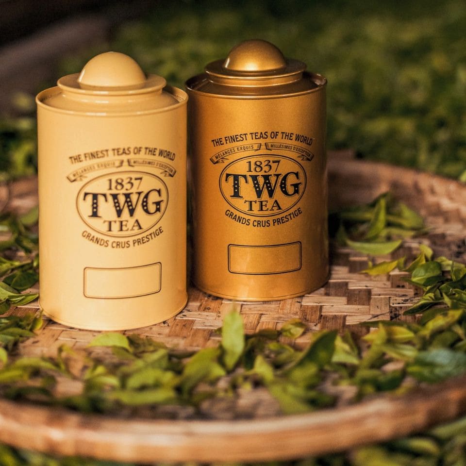 trà TWG Đặc sản singapore 