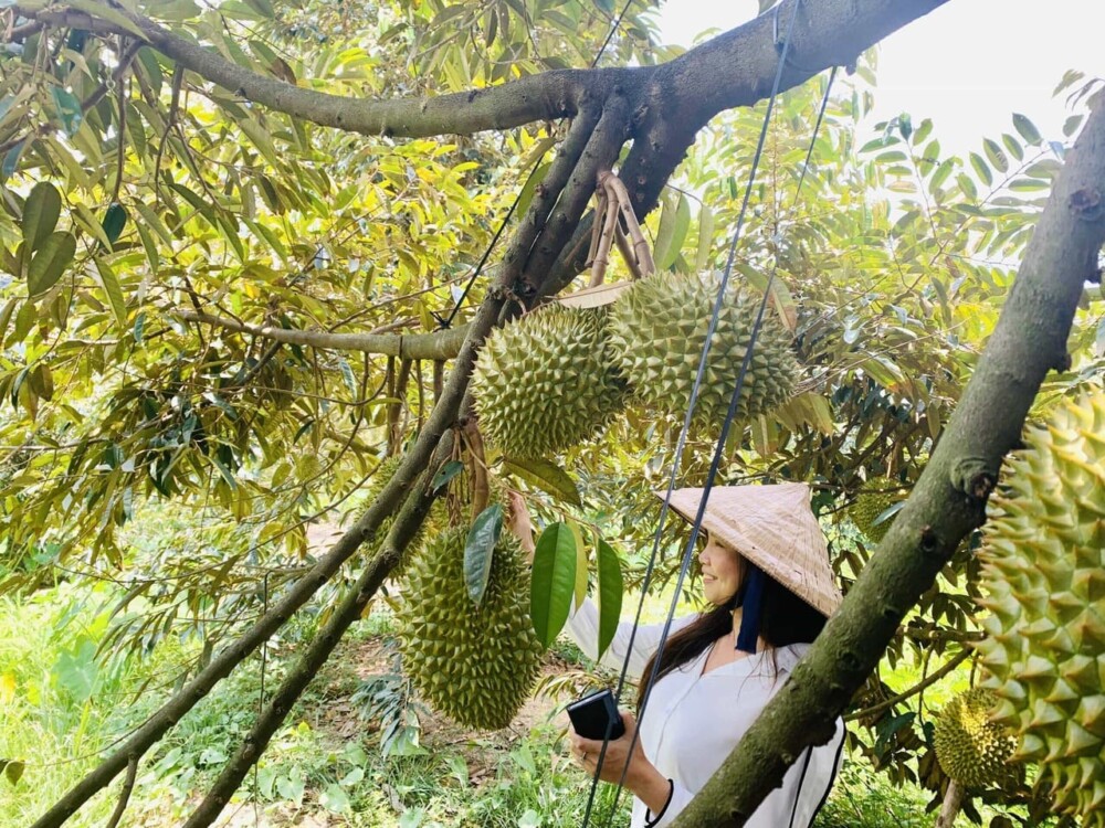 Phương tiện di chuyển đến Lái Thiêu